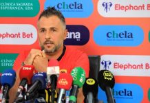 Angola Football Federation Ends Coach’S Contract Angola Football Federation Ends Coach'S Contract