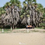 Ponta do Padrão to Become Priority Tourist Interest Area Ponta do Padrão to Become Priority Tourist Interest Area