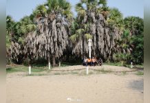 Ponta do Padrão to Become Priority Tourist Interest Area Ponta do Padrão to Become Priority Tourist Interest Area