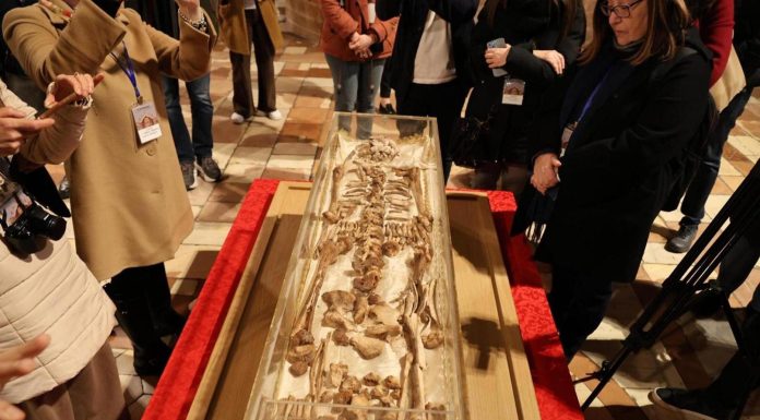 St Francis of Assisi’S Bones on Public Display for First Time St Francis of Assisi'S Bones on Public Display for First Time