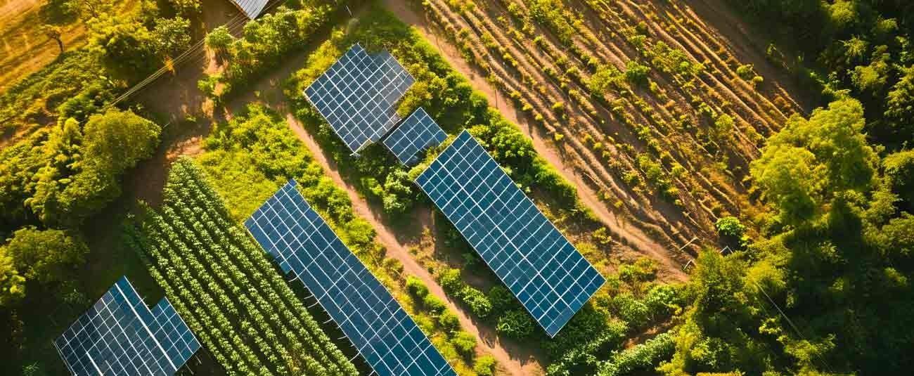 Luau Solar Park Construction Finishes in April Luau Solar Park Construction Finishes in April