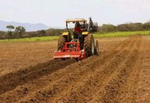 Experts Acknowledge Government Policies Boosting Agriculture Experts Acknowledge Government Policies Boosting Agriculture