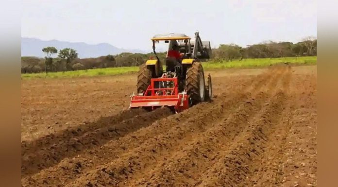 Experts Acknowledge Government Policies Boosting Agriculture Experts Acknowledge Government Policies Boosting Agriculture