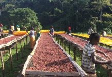 Angola to Hold Seven Public Job Tenders in may Angola to Hold Seven Public Job Tenders in may