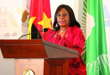 Minister Appeals for Civic Posture during Pontiff’S Visit Minister Appeals for Civic Posture during Pontiff'S Visit