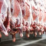 Domestic Meat Dominates Supermarket Shelves in Huíla Domestic Meat Dominates Supermarket Shelves in Huíla