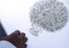 Chiri Mining Company Starts Operating this Month Chiri Mining Company Starts Operating this Month