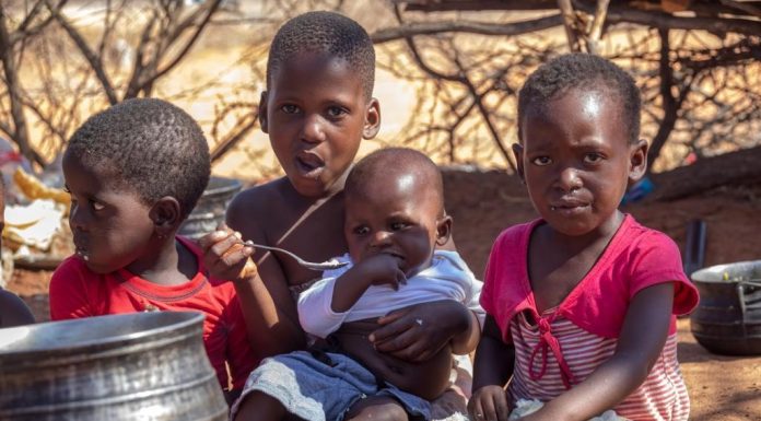 African Governments Urged to Address Fertilizer Shortages African Governments Urged to Address Fertilizer Shortages