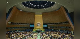 African Union Backs Josefa Sacko for FAO Leadership African Union Backs Josefa Sacko for FAO Leadership