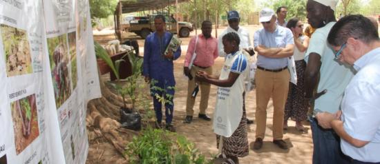 L’UE visite la Réserve de biosphère transfrontalière W-Arly-Pendjari L’UE visite la Réserve de biosphère transfrontalière W-Arly-Pendjari