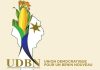 Législatives 2023 au Bénin: l’UDBN à la CENA pour la correction de son dossier Législatives 2023 au Bénin: l’UDBN à la CENA pour la correction de son dossier