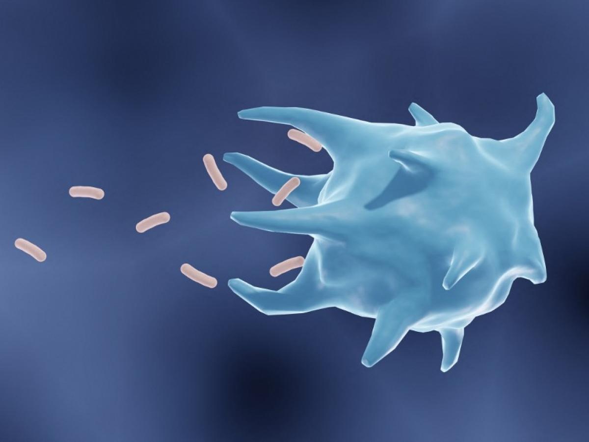 INTERVIEW. INTERVIEW.