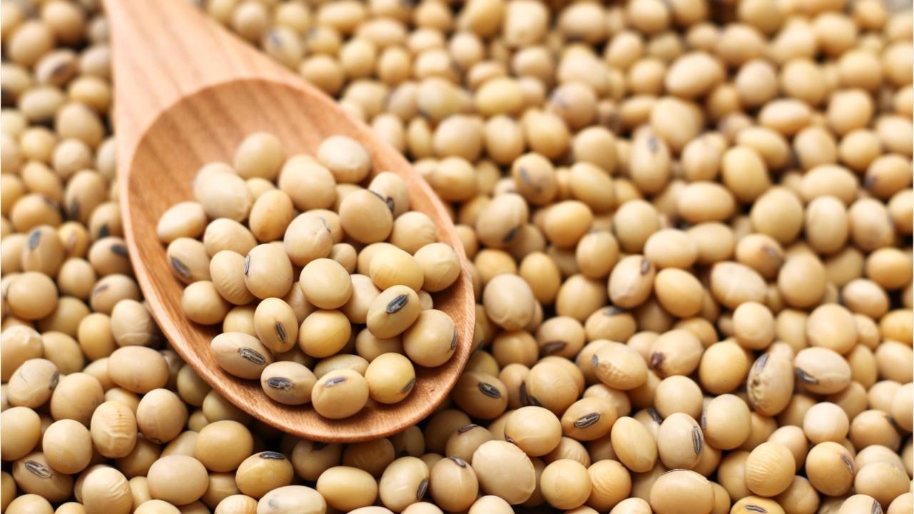 Bénin: les premiers échos de la rencontre entre Patrice Talon et les acteurs du soja Bénin: les premiers échos de la rencontre entre Patrice Talon et les acteurs du soja