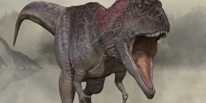 Un dinosaure a été découvert au nord du Cameroun Un dinosaure a été découvert au nord du Cameroun
