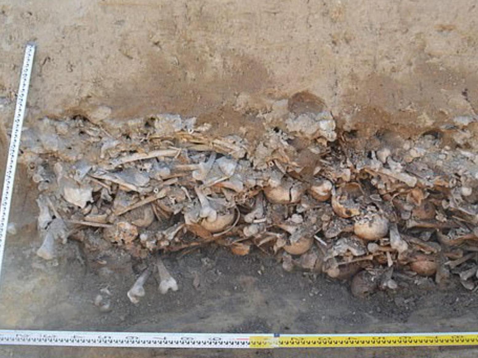 Découverte surprenante de 450 squelettes de « vampires » en Pologne ! Découverte surprenante de 450 squelettes de « vampires » en Pologne !