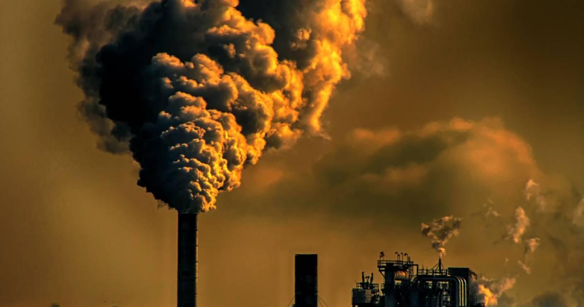 Réchauffement climatique : un rapport appelle à multiplier les financements pour la nature par deux d’ici à 2025 Réchauffement climatique : un rapport appelle à multiplier les financements pour la nature par deux d’ici à 2025