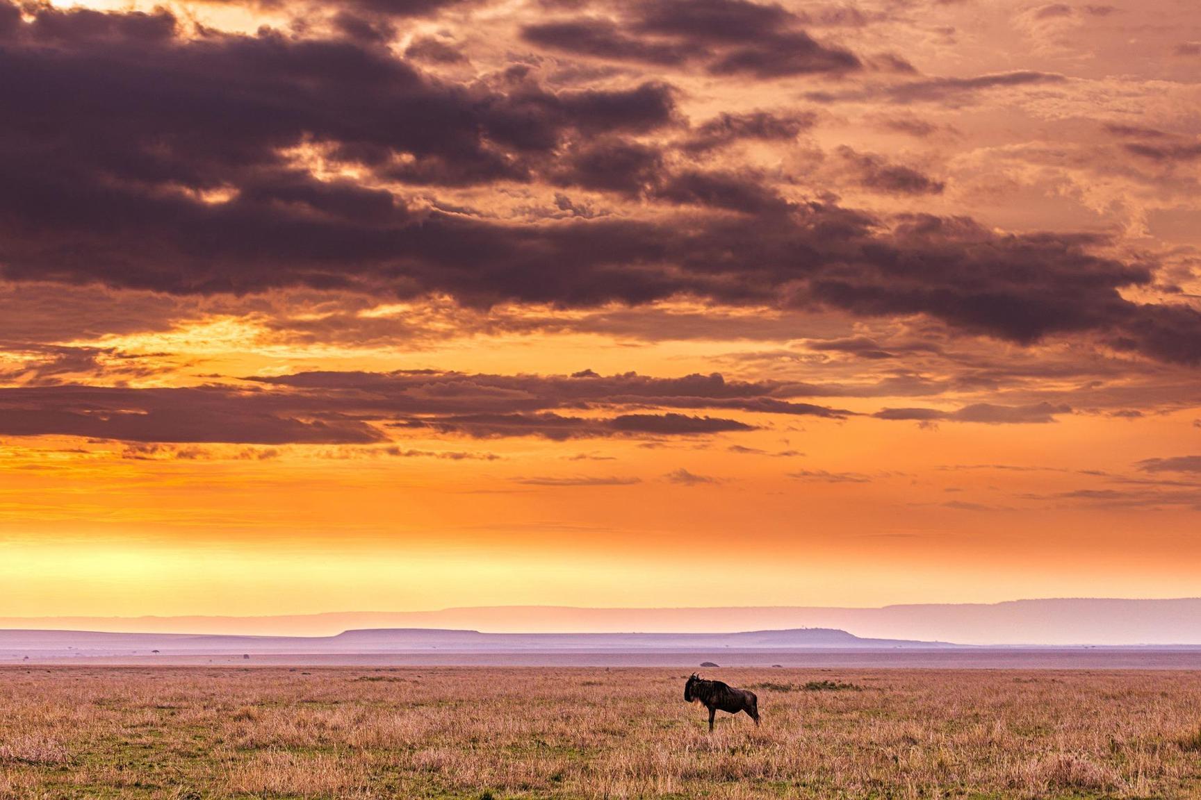 L’Afrique appelle à des services climatologiques personnalisés pour construire un continent résilient au climat L’Afrique appelle à des services climatologiques personnalisés pour construire un continent résilient au climat