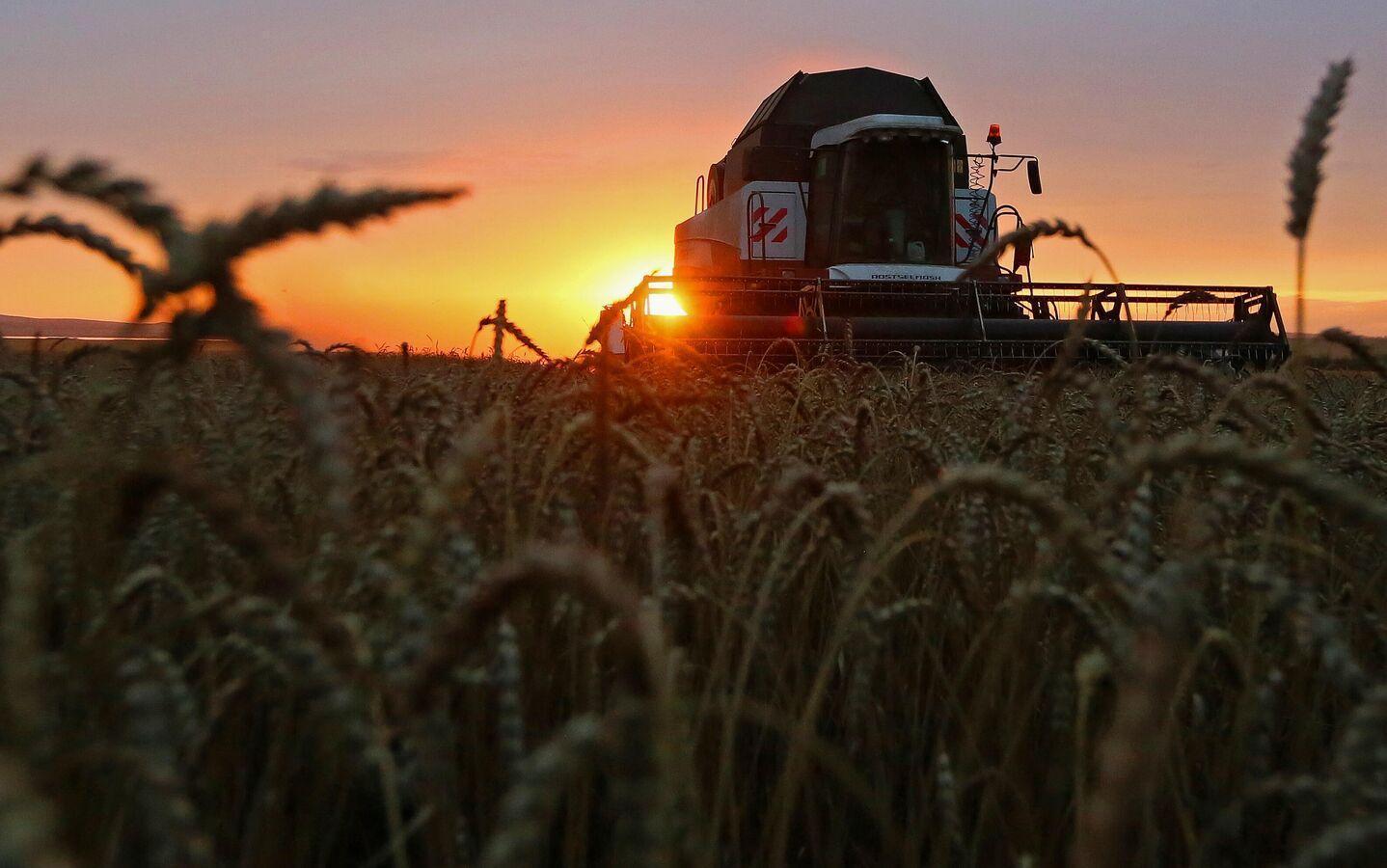 À quand la fin de l’insécurité alimentaire en Afrique? Le chef de la BAD répond À quand la fin de l’insécurité alimentaire en Afrique? Le chef de la BAD répond