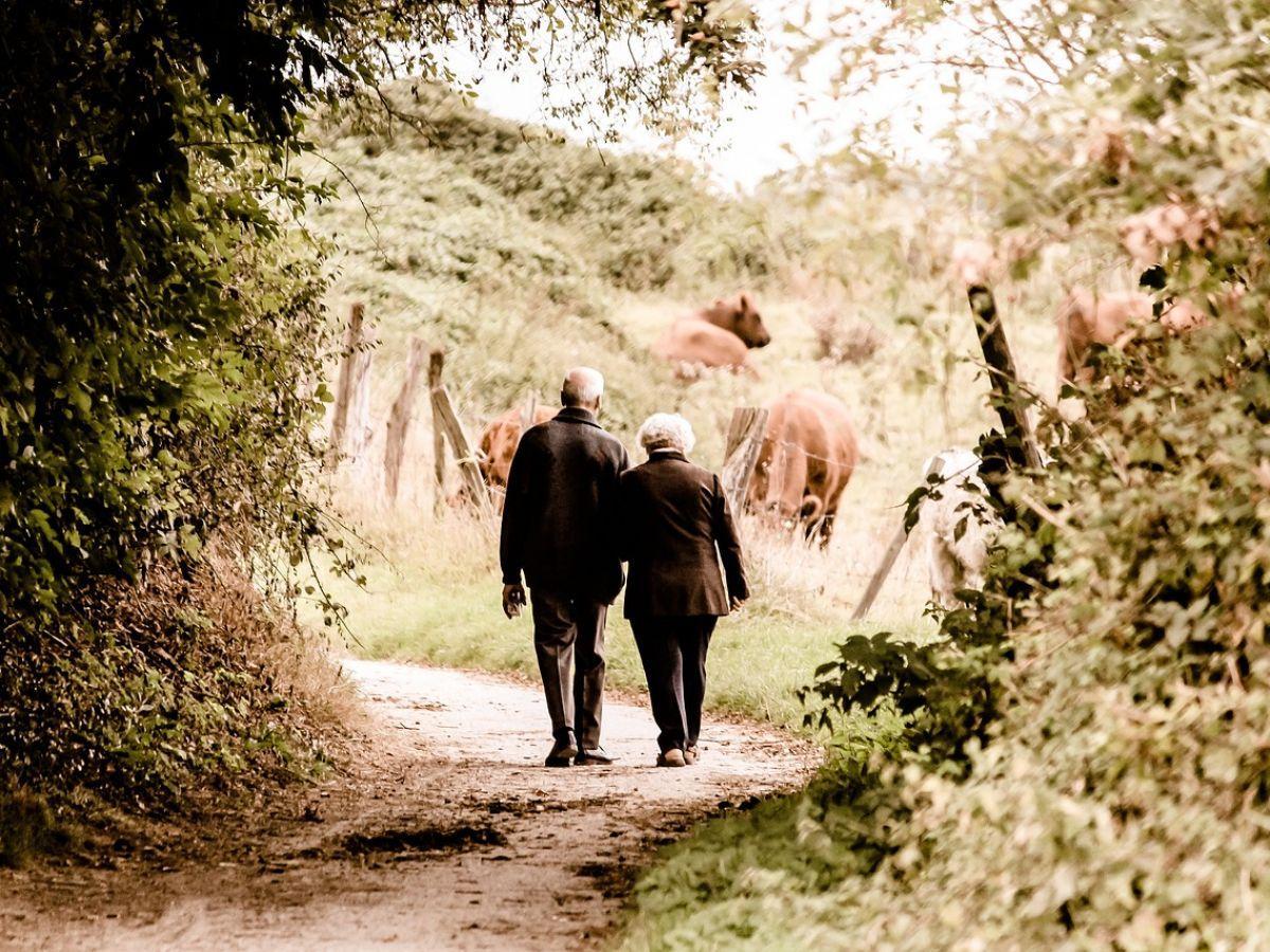 Fourmis dans les jambes : quelles sont les causes et comment s'en débarrasser ? Fourmis dans les jambes : quelles sont les causes et comment s'en débarrasser ?