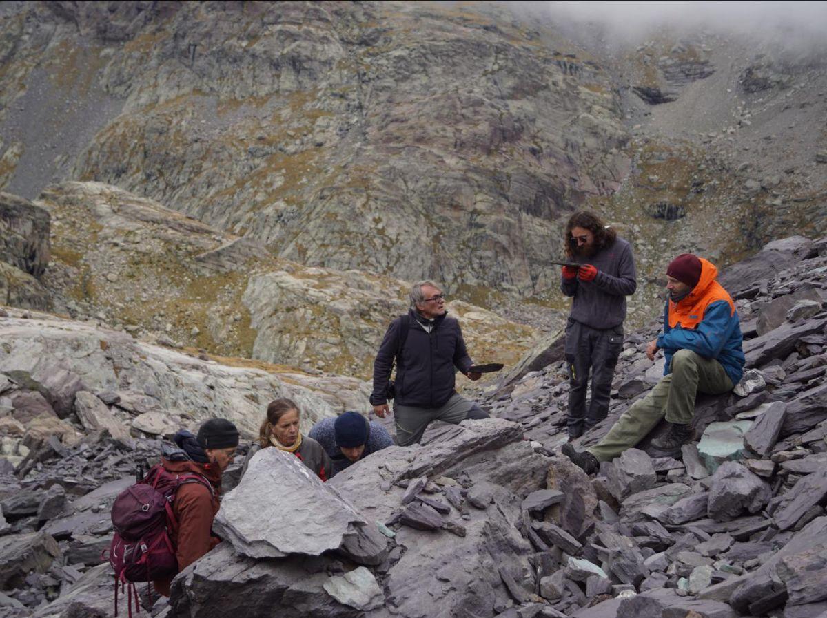 “Une découverte majeure pour la science et notre patrimoine” : les traces fossiles de 260 millions d’années du Mercantour enthousiasment les experts “Une découverte majeure pour la science et notre patrimoine” : les traces fossiles de 260 millions d’années du Mercantour enthousiasment les experts