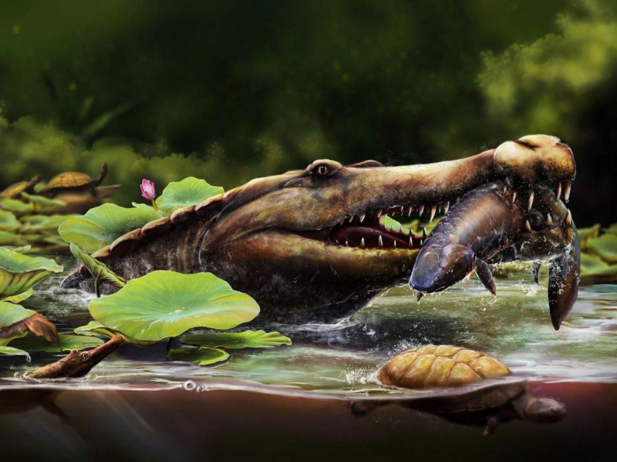 Ancien Crocodile Marin Découvert Dans Désert Égyptien Ancien Crocodile Marin Découvert Dans Désert Égyptien