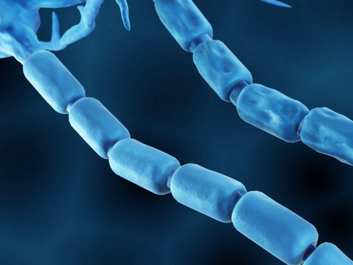 Sclérose En Plaques: Autogreffe Reconstitue Immunité Sclérose En Plaques: Autogreffe Reconstitue Immunité