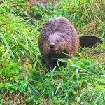 Bonnes Nouvelles Scientifiques D’Octobre 2025 Bonnes Nouvelles Scientifiques D'Octobre 2025