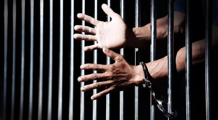 Niger: Journalistes Inculpés Pour Cybercriminalité Niger: Journalistes Inculpés Pour Cybercriminalité