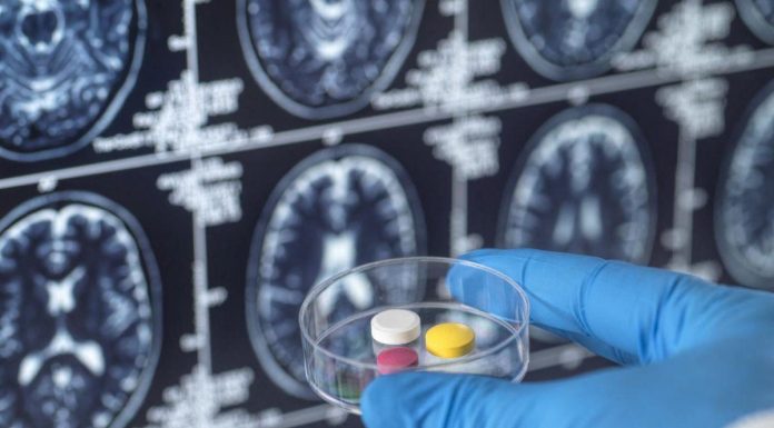 Lithium, Clé Pour Traiter La Maladie D’Alzheimer Lithium, Clé Pour Traiter La Maladie D'Alzheimer