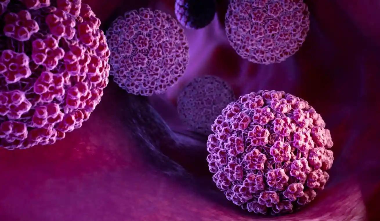 Campagne Nationale De Vaccination Contre Le HPV Campagne Nationale De Vaccination Contre Le HPV