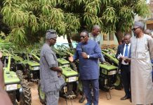 Développement Des Chaînes De Valeurs Riz Et Maïs Développement Des Chaînes De Valeurs Riz Et Maïs