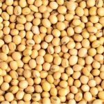 Commercialisation Du Soja Grain Pour La Campagne 2025-2026 Commercialisation Du Soja Grain Pour La Campagne 2025-2026