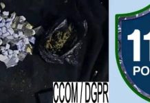 Interpellation de 8 individus pour trafic de chanvre indien Interpellation de 8 individus pour trafic de chanvre indien