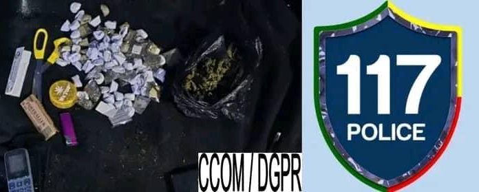 Interpellation de 8 individus pour trafic de chanvre indien Interpellation de 8 individus pour trafic de chanvre indien