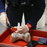 Cocaïne Surpasse Cannabis Comme Marché Illicite Principal Cocaïne Surpasse Cannabis Comme Marché Illicite Principal
