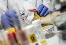 Affaire Du Violeur Au Tournevis Résolue Par Généalogie Affaire Du Violeur Au Tournevis Résolue Par Généalogie