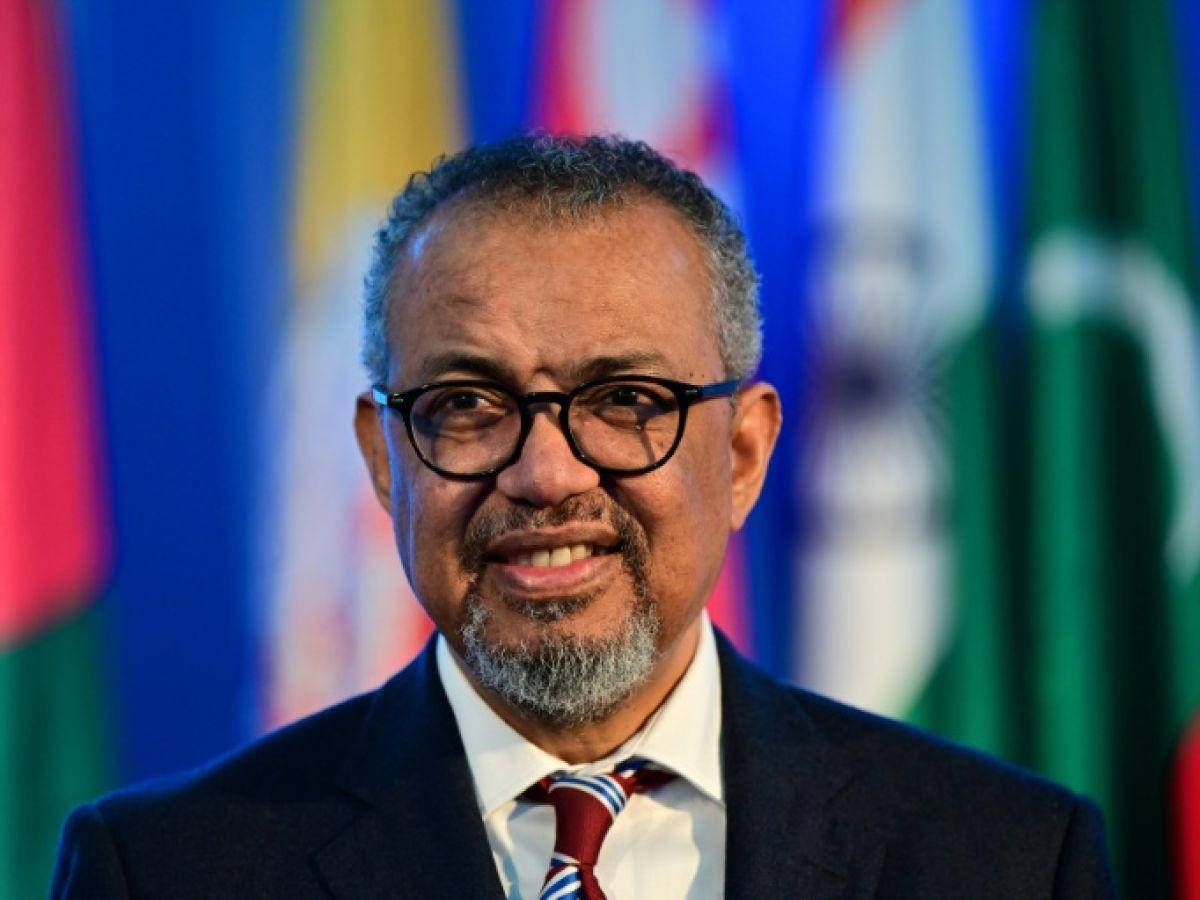 Acupuncture Et Médecine Ayurvédique: Recherche De Preuves Acupuncture Et Médecine Ayurvédique: Recherche De Preuves