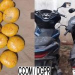 Interpellations et Saisies de Chanvre à Pahou Interpellations et Saisies de Chanvre à Pahou