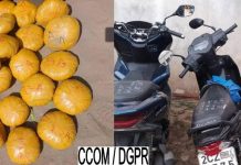 Interpellations et Saisies de Chanvre à Pahou Interpellations et Saisies de Chanvre à Pahou