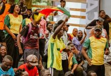 Canal+ Mobilise le Public Béninois Pour Les Guépards Canal+ Mobilise le Public Béninois Pour Les Guépards