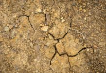 Chaleur Record Dans Les Régions Du Monde En 2025 Chaleur Record Dans Les Régions Du Monde En 2025