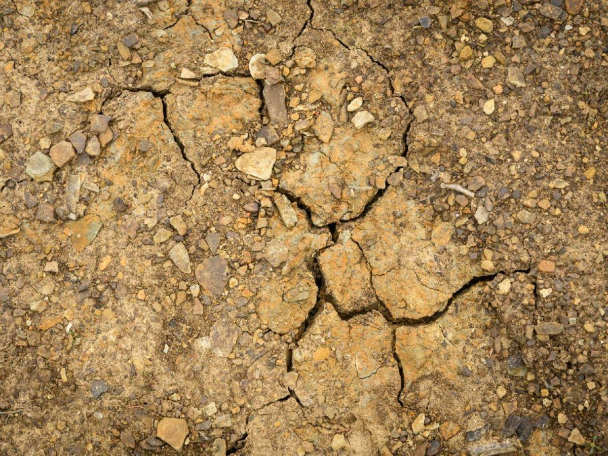 Chaleur Record Dans Les Régions Du Monde En 2025 Chaleur Record Dans Les Régions Du Monde En 2025