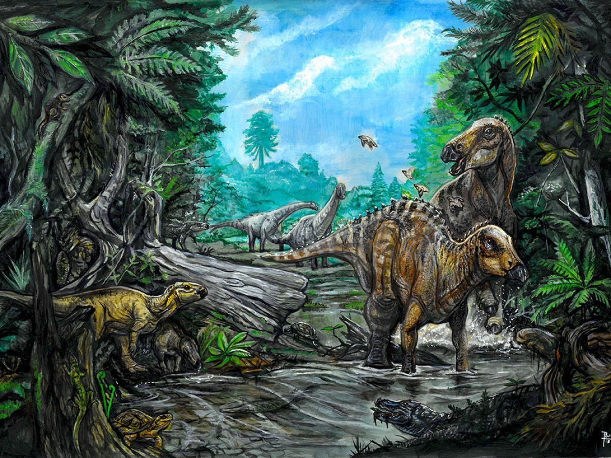 Dinosaures Découverts en Transylvanie, Pays de Dracula Dinosaures Découverts en Transylvanie, Pays de Dracula