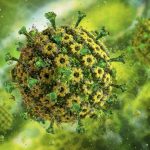 Le Virus de L’herpès a Intégré Notre Génome il y a 2500 Ans Le Virus de L'herpès a Intégré Notre Génome il y a 2500 Ans