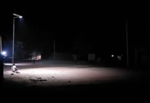 Arrestations Massives Lors d’un Spectacle avec Saisies Arrestations Massives Lors d'un Spectacle avec Saisies