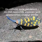 Nouvelles Espèces Et Chats Domestiqués Analyzés Par L’IA Nouvelles Espèces Et Chats Domestiqués Analyzés Par L'IA