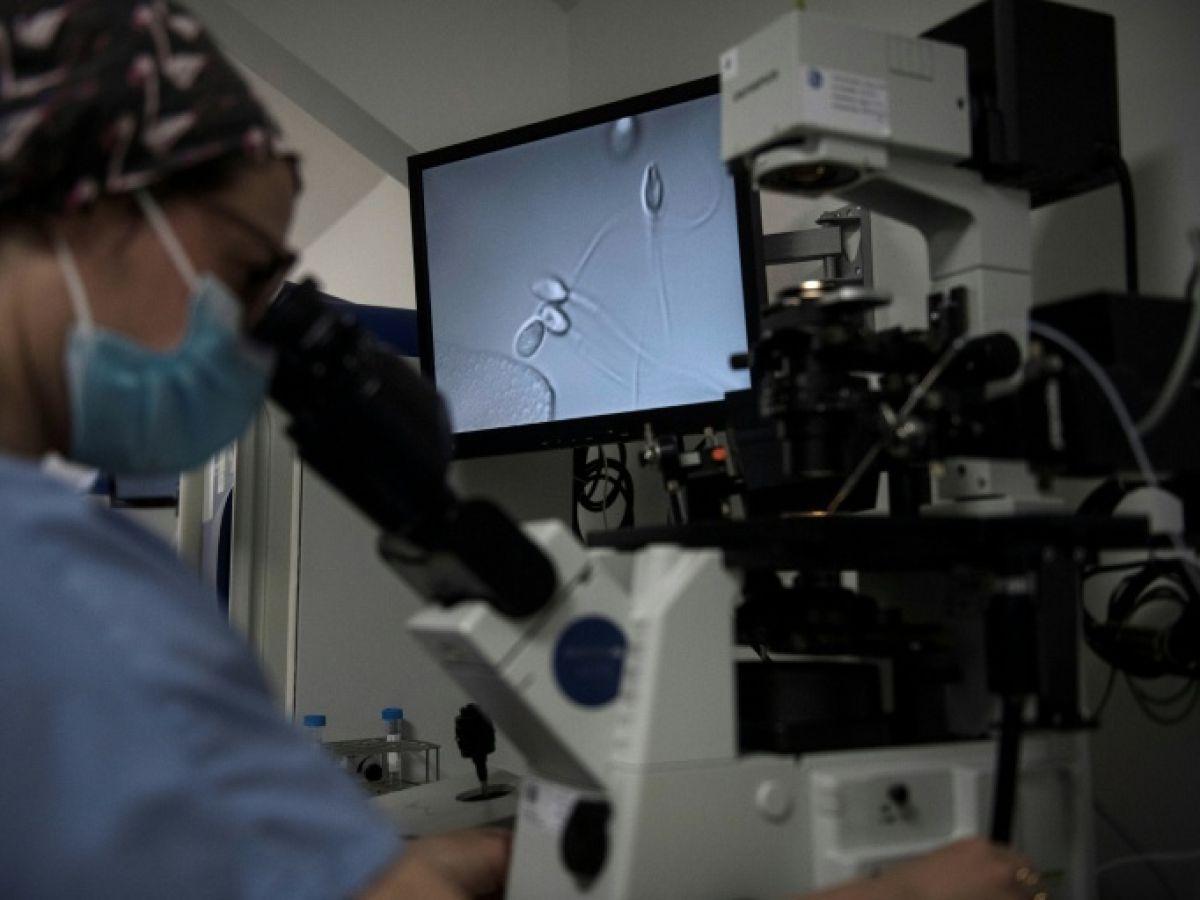PMA GPA IA Lancement Des Etats Généraux Bioéthique PMA GPA IA Lancement Des Etats Généraux Bioéthique