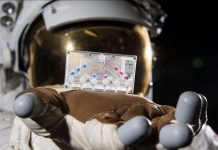 Astronautes d’Artemis II Voyageront Avec Clones Cellulaires Astronautes d'Artemis II Voyageront Avec Clones Cellulaires