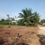 Lycées Techniques et Agricoles au Bénin: Nouvelles Filières Lycées Techniques et Agricoles au Bénin: Nouvelles Filières