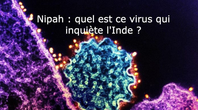 Virus Nipah et Céréulide: Actu Scientifique Brève Virus Nipah et Céréulide: Actu Scientifique Brève